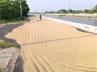 Chính Chủ Bán ĐẤT ĐẤU GIÁ Trịnh Xá, TP Phủ Lý, Hà Nam - Mặt Tiền Đường GIÁ TỐT!