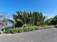 BÁN ĐẤT MẶT TIỀN SÔNG TIỀN – VỊ TRÍ ĐẸP, LÝ TƯỞNG LÀM NHÀ NGHỈ DƯỠNG, HOMESTAY, VILLA VEN SÔNG TẠI