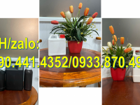 Can nhựa 2 lít giá rẻ, bình nhựa 1 lít nắp thoát khí, can nhựa 500ml đựng dầu mỡ 