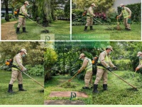 DỊCH VỤ CẮT CỎ - CƯA CÂY TAM PHƯỚC, ĐỒNG NAI