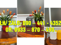 Can nhựa 2 lít đựng xăng, can 5 lít vuông đựng dầu khí, can nhựa 1 lít đựng thức uống pha loãng 