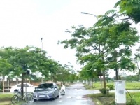 Chính chủ bán đất khu tái định cư An Hải, Hải Phòng - 81m2, ngang 4,5m, vị trí đẹp, giá 3,3 tỷ