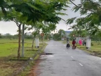 Chính chủ bán đất khu tái định cư An Hải, Hải Phòng - 81m2, ngang 4,5m, vị trí đẹp, giá 3,3 tỷ