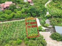 Săn đất Bắc Giang cũ giá tốt - Vị trí thuận tiện, đường rộng, gần tiện ích, cơ hội đầu tư hấp dẫn