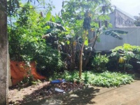 Chính chủ bán đất Phước Tân, gần bệnh viện phổi Đồng Nai - 240m2, thổ cư, sổ riêng, giá 6,7 tỷ