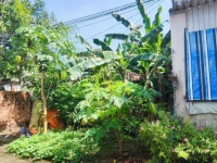 Chính chủ bán đất Phước Tân, gần bệnh viện phổi Đồng Nai - 240m2, thổ cư, sổ riêng, giá 6,7 tỷ