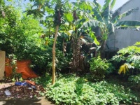 Chính chủ bán đất Phước Tân, gần bệnh viện phổi Đồng Nai - 240m2, thổ cư, sổ riêng, giá 6,7 tỷ