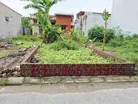 BÁN LÔ ĐẤT  MẶT NGÕ 138 NAM HẢI, ĐÔNG HẢI, HẢI PHÒNG