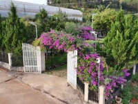 Cho thuê homestay khuôn viên 2.000m2 4 bungalow view rừng thông giá 35 triệu tại Tà Nung Đà Lạt Lâm