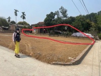 Chính chủ bán đất thôn Cẩm An, xã Cẩm Lĩnh, Ba Vì, Hà Nội - 232m2, , thích hợp đầu tư dài hạn