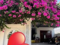 NHÀ ĐẸP – GIÁ TỐT – CẦN BÁN NHÀ NGÃ BA LONG BÌNH, P. Đạo Long, TP. Phan Rang - Tháp Chàm, Ninh Thuận