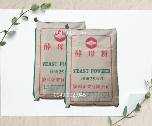 Yeast powder - Đạm dinh dưỡng hỗ trợ nong to đường ruột tôm