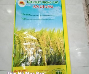 Bao lúa giống 40kg có sẵn in luôn tên lúa giá rẻ