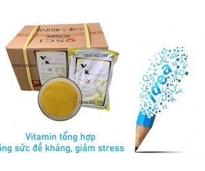 VITA KINGDOM - Vitamin tổng hợp, tăng sức đề kháng cho vật nuôi