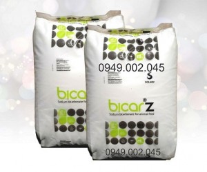 Sodium Bicarbonate (Bicar Thái, Bicar TQ) giúp nâng kiềm ao nuôi