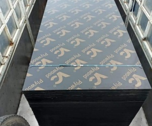 Ván ép CỐP PHA phủ phim giá rẻ 240K tại HÒA LẠC