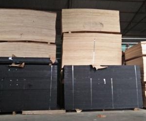 Ván Ép CỐp Pha Phủ Phim Giá rẻ  tại Hải DƯơng 230k