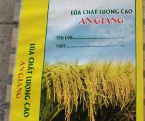 Bao lúa giống 40kg có sẵn sll dễ đặt hàng