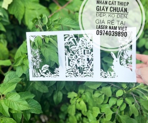 Thiêp cưới cắt laser sang trọng, cắt laser giấy làm thiệp 