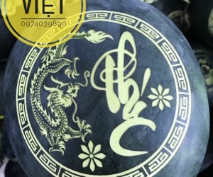 DƯA HẤU KHẮC CHỮ, KHẮC LASER TRÊN HOA QUẢ, NHẬN KHẮC CHỮ TRÊN TRÁI CÂY