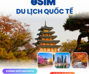 Esim du lịch Quốc Tế