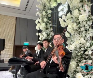 CUNG CẤP BAND HÒA TẤU BÁN CỔ ĐIỂN HÒA TẤU FLAMENCO