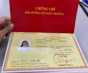 Học KẾ TOÁN TRƯỞNG Online (Bộ Tài Chính) tại Vũng Tàu, Bình Dương, Bình Phước, Đồng Nai, Tây Ninh