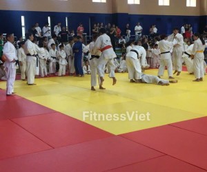 Thảm Tập Vật Juiitsu , Judo , Mma , Bjj