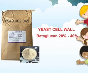 Yeast Cell Wall - Betaglucan TQ giúp tăng cường miễn dịch tôm cá