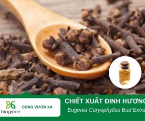 Tác dụng làm đẹp của chiết xuất đinh hương