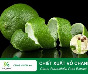 Tác dụng làm đẹp của chiết xuất vỏ chanh