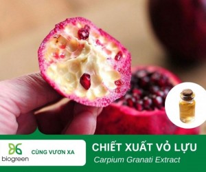 Tác dụng làm đẹp của chiết xuất vỏ lựu