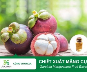 Tác Dụng Làm Đẹp Của Chiết Xuất Măng Cụt