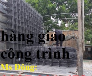 Lưới thép hàn; Lưới thép hàn 6ly ô 100x100mm