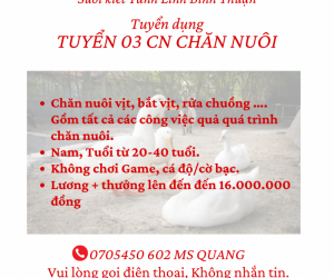 TUYỂN 03 CN CHĂN NUÔI BAO ĂN Ở TÁNH LINH BÌNH THUẬN