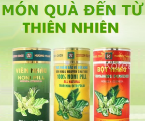 Bột Nhàu Hương Thanh (Noni Powder - 노니 파우더) tốt cho xương khớp, huyết áp, tiểu đường