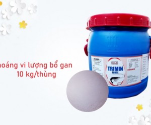 Trimin Forte - Khoáng bổ gan dạng bột cho tôm cá