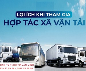 Thành lập hợp tác xã vận tải: Thủ tục và điều kiện cần biết