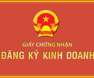 Giấy phép kinh doanh gỗ: Điều kiện và thủ tục không thể bỏ qua