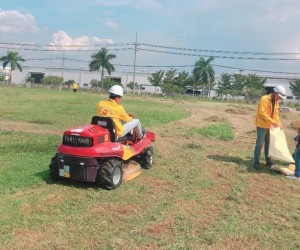 Dịch vụ cắt cỏ hoang, cắt cỏ bụi bằng máy phát tại Đồng Nai