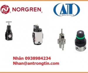 Bộ lọc khí nén Norgren F18-C00-A3DG: Bảo vệ hệ thống khí nén của bạn 