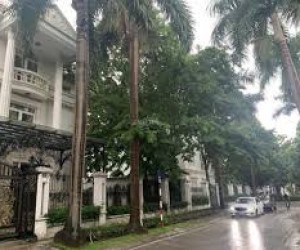 Bán biệt thự khu C5 Ciputra  217m2 sau nhà là Hồ điều hòa và công viên rộng 60ha