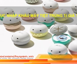 Thủ Tục Nhập Khẩu Máy Tiệt Trùng Ti Giả  Bằng Tia UV