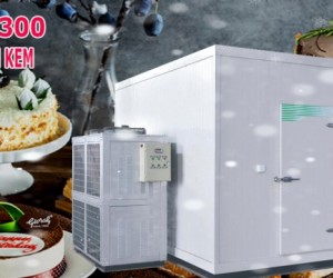 Tư vấn lắp đặt kho lạnh cho cá nhân và doanh nghiệp