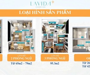 Căn hộ Lavida Plus Q7 1Pn giá 3 tỷ, 2PN, 74m2 giá 4,1 tỷ. Ck 5%. CĐT 0917688586