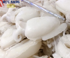 Giá mực nang
