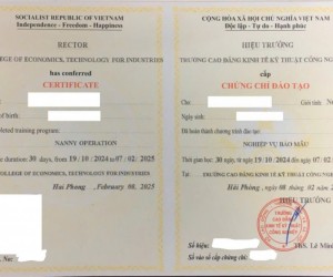 Tuyển Sinh Khóa Đào Tạo Bảo Mẫu – Có Chứng Chỉ Hành Nghề, Lương Cao