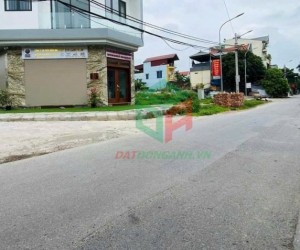 ĐẤU GIÁ VIỆT HÙNG ĐÔNG ANH - SIÊU PHẨM LÔ GÓC - KINH DOANH ĐỈNH