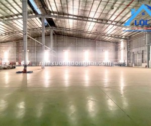 Cho thuê nhà xưởng 3000m² tại Long Thành: Văn phòng, PCCC tự động, Điện 750KVA!