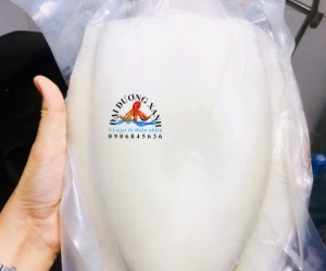 Mực nang bao nhiêu 1kg